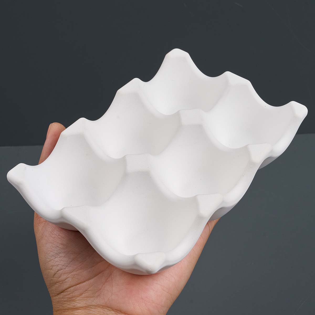 6-Compartment Egg Holder Silic - Food Storage Eggs reseña y precio