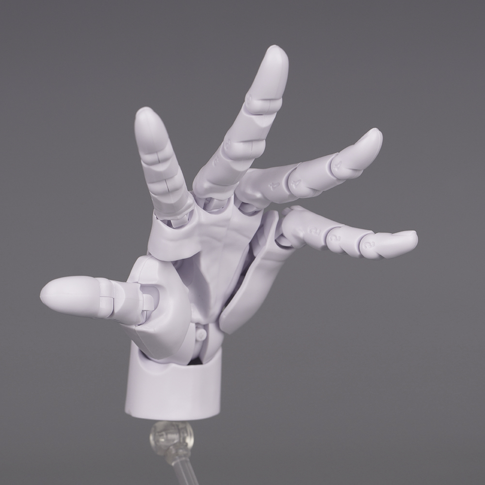 10.5cm Human Hand Model With M - Food Storage Eggs reseña y precio
