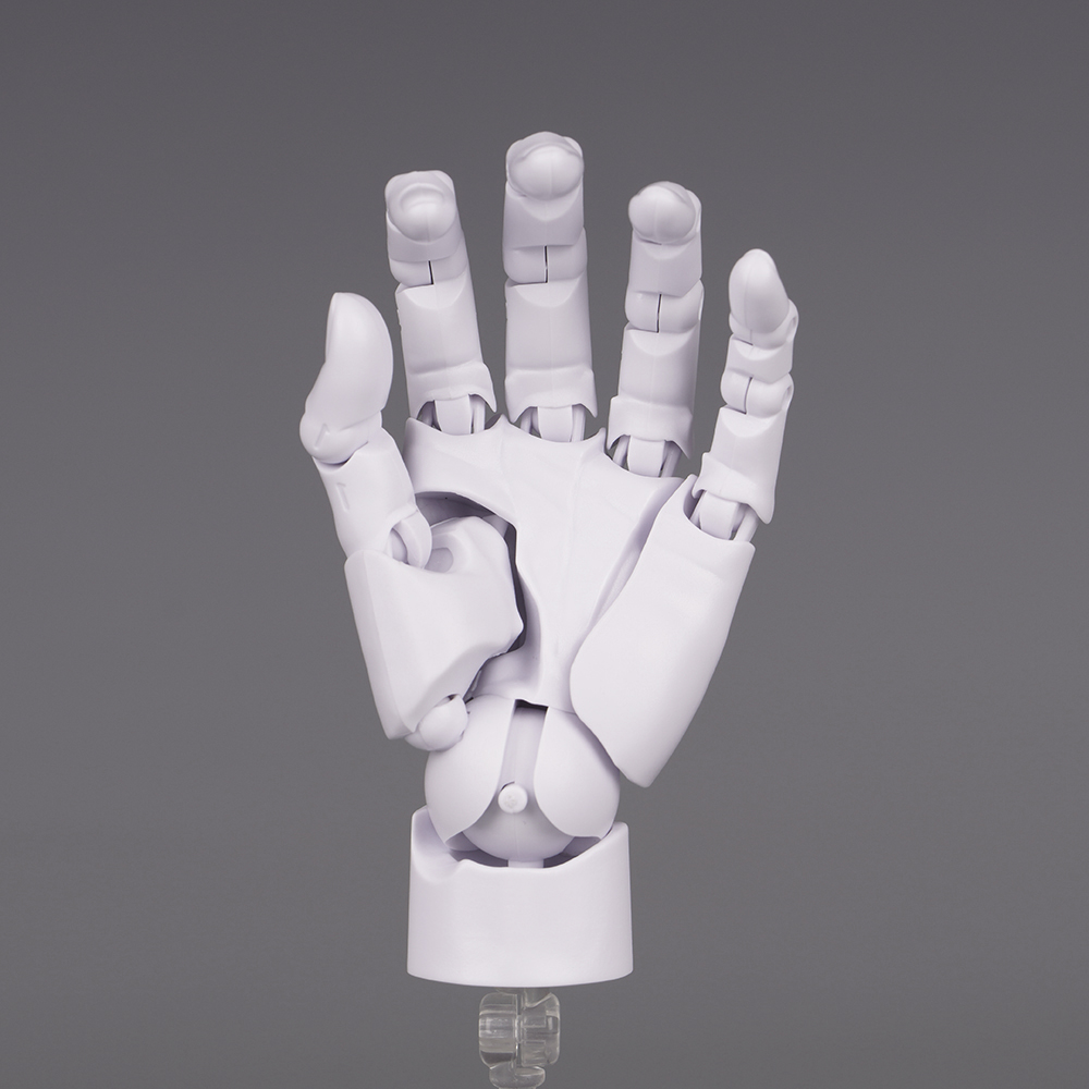 10.5cm Human Hand Model With M - Food Storage Eggs reseña y precio
