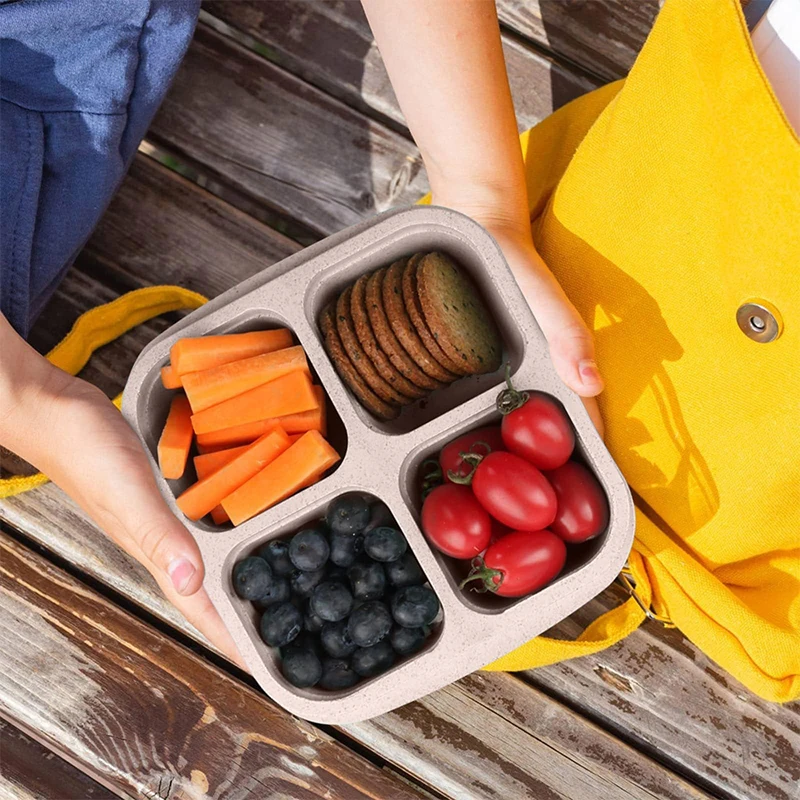 4 Grids Food Storage Box Porta - Food Storage Eco Friendly reseña y precio