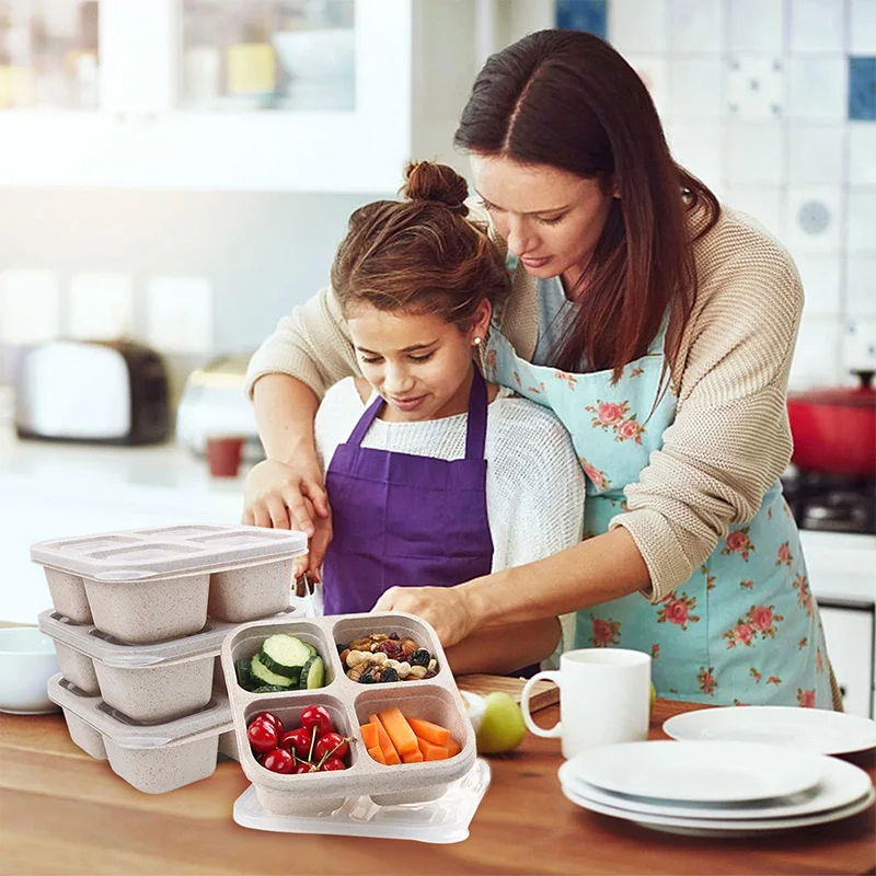 4 Grids Food Storage Box Porta - Food Storage Eco Friendly reseña y precio
